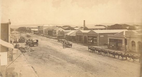 Durban, probably West Street, to be reviewed, Natal