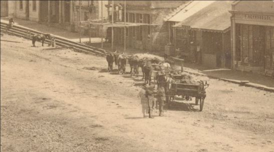 West Street, Durban, P. Henwood and Co, Natal