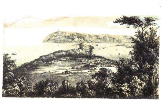 Early illustration (Lithograph) of the Point, Port Natal and Bluff, 1855, Durban. Sketched from Captain Gardiner's station