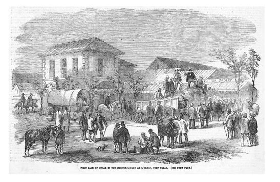The first sale of sugar in the market square off Gardiner Street, Durban, Port Natal, 1856