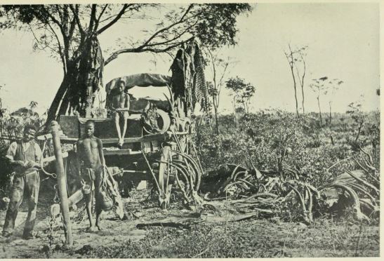 a-hunters-wagon