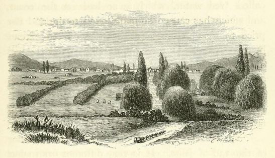 A ox wagon approaching the settlement of Pretoria