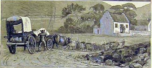 Cape wagon, Hex River Valley, 1883