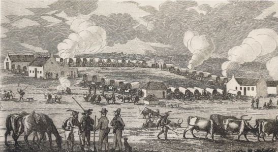 Charles Michell, Field Cornet Buchner's laagered farm, Quagga's Vlackte, 1835, wagon, laager, oxen