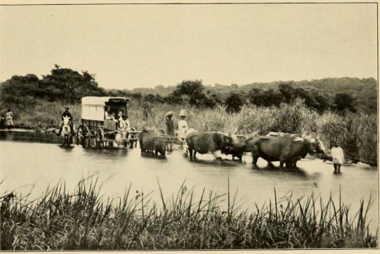 Crossin a river by wagon in Natal, zululand
