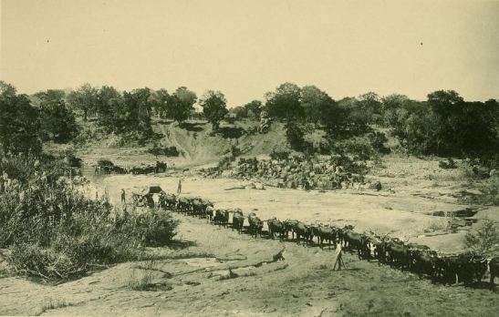 crossing the Lundi river, wagon n