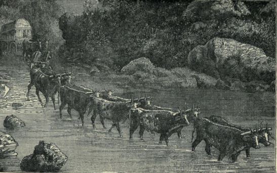 fording a river, ox wagon