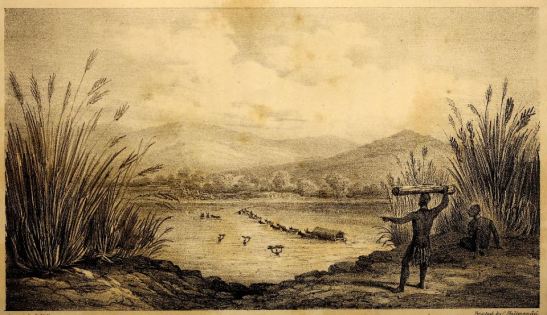gardiner, wagon crossing the the tugela river, after thomas baines