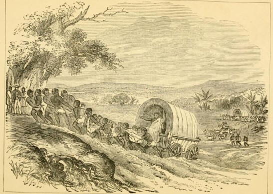 moffat, fording a river, wagon