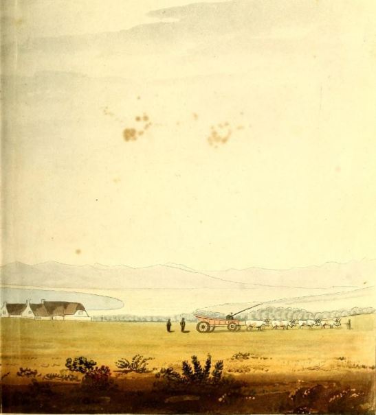 ox wagon, cape, burchell, travels in the interior of sa, 1811