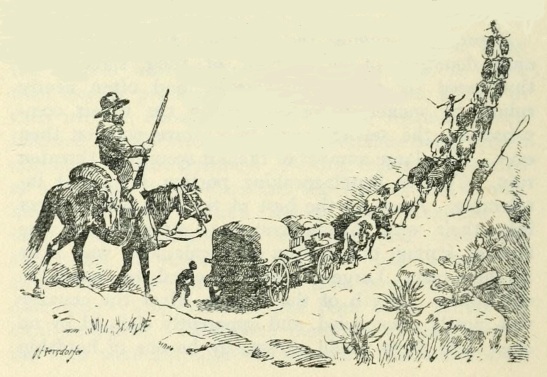ox-wagon drawing