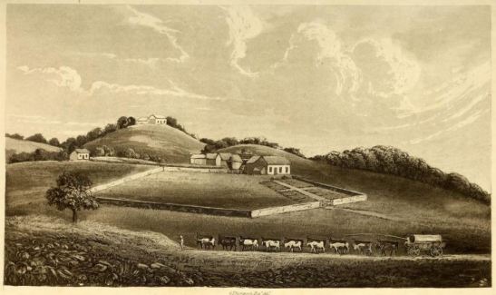 thornhill-near-fort-francis-wagon