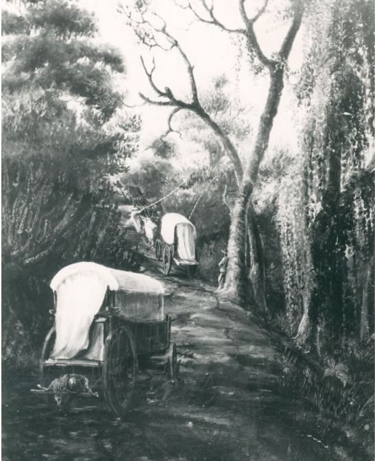 trek wagons, bosch nek, elandsberg, drawing james walton