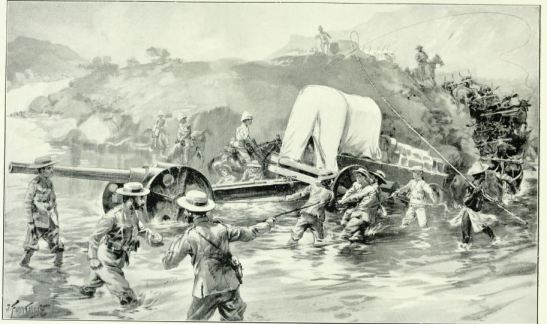 wagon and oxen and naval gun, tugela river, natal