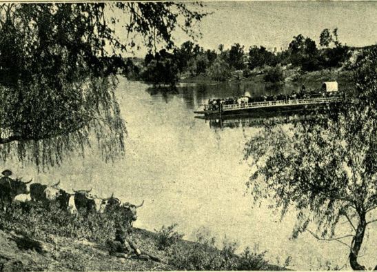 wagon and oxen crossing a river on a pontoon, cape