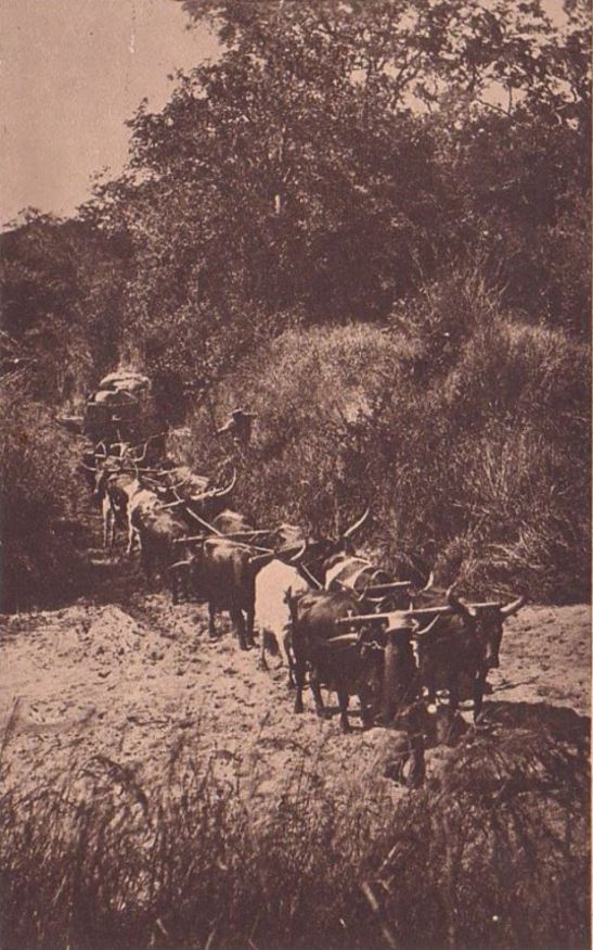 wagon crossing dry river bed, SA