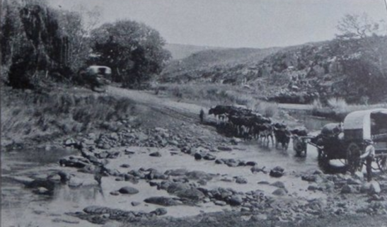 wagon crossing the Umvoti River