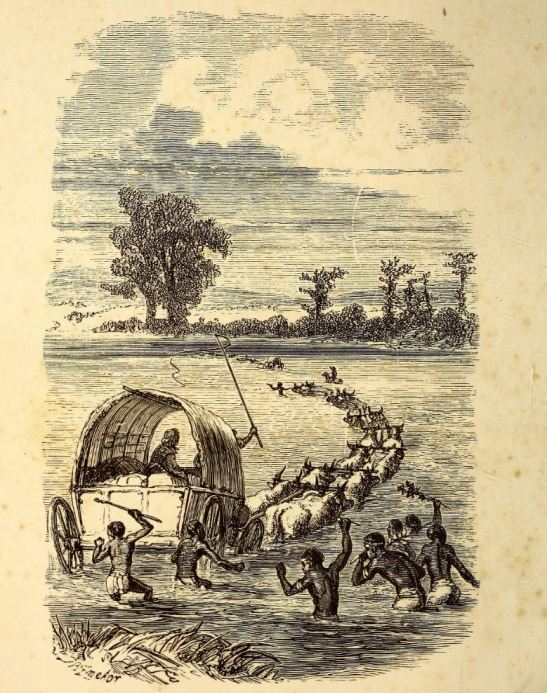 wagon, drift, zululand, Charlotte Barter, alone among the zulus, before 1878