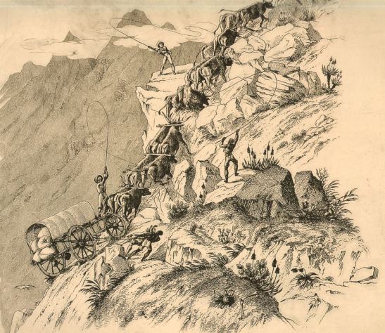 wagon, state of the cradock pass, charles michell, engraving after his drawing, 1840, oxen