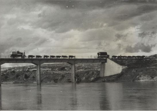 wagons-crossing-bridge
